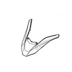 Element sous Bulle Honda PCX 125/160 v5 2021