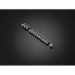 Kit Vis Carénages Bikers Honda ADV 150
