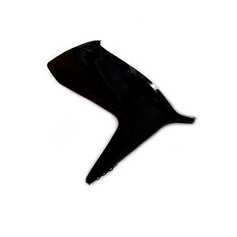 Carénage Flanc Avant Droit Honda Forza 300 Carénage Flanc Avant Droit Honda Forza 300