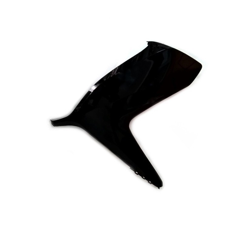 Carénage Flanc Avant Gauche Honda Forza 300 Carénage Flanc Avant Gauche Honda Forza 300