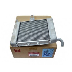 Radiateur Honda Forza Nss 300