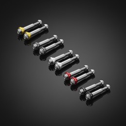 Stainless Bolt for Levers...