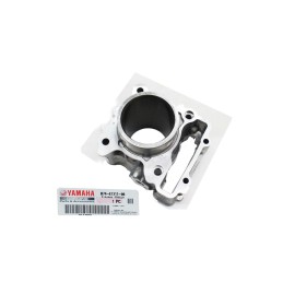 Cylinder Yamaha XMAX 300