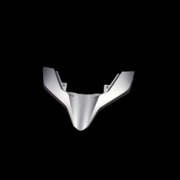 Front Garnish Screen Honda...