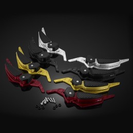 Set Rear Footrests Bikers...