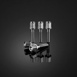 Kit Vis Stainless Roue...