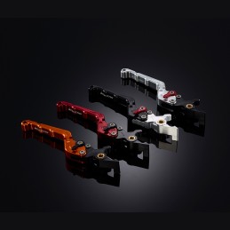 Folding Adjustable Brake...